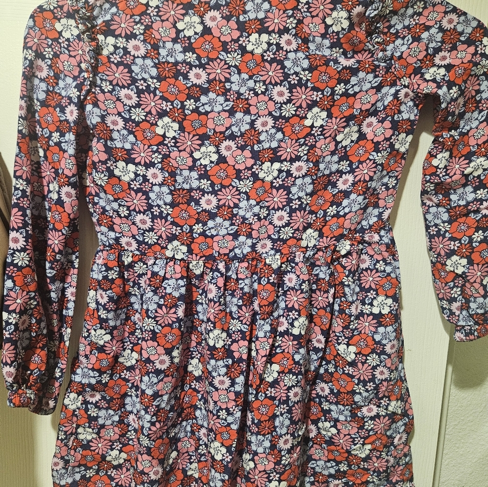 Carters dress